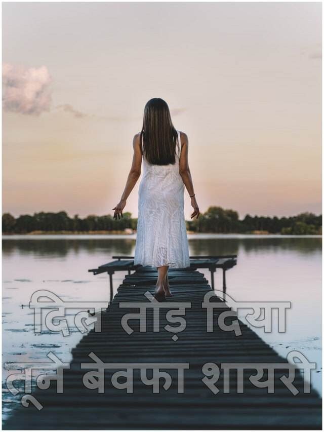 दिल तोड़ दिया तूने बेवफा शायरी: dil tod diya bewafa tune