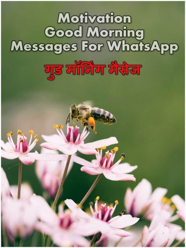 गुड मॉर्निंग मैसेज: motivation good morning messages for whatsapp