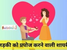 propose karne wali shayari| लड़की को प्रपोज करने वाली शायरी: मिटाएं दूरी, छू जाएं दिल की गहराईयों में ladki ko propose karne wali shayari
