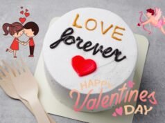 Valentine Day Shayari Quotes For Love in Hindi: वैलेंटाइन डे शायरी 2024 Valentine Day Shayari Quotes For Love