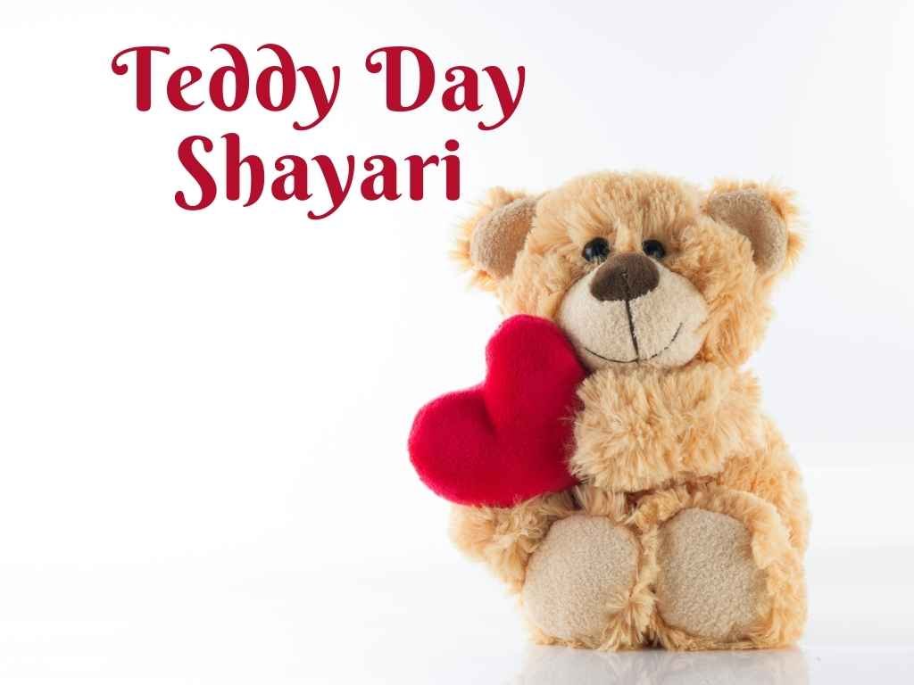 Teddy Day Shayari (10 Best Shayari)