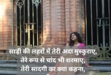 festival special saree shayari in hindi for girl: Saree Quotes in Hindi