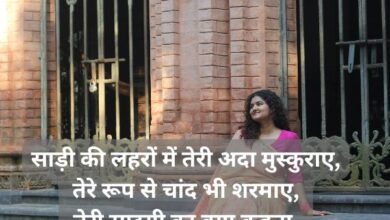 festival special saree shayari in hindi for girl: Saree Quotes in Hindi